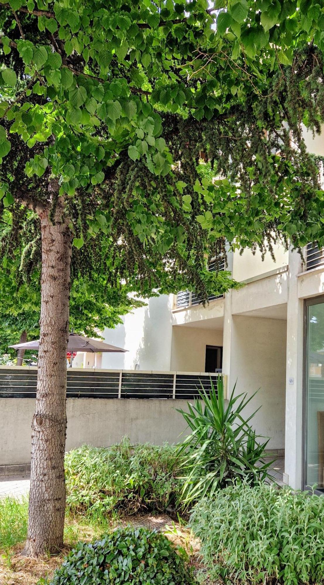 Dolcenido Meyer Firenze Apartment Exterior photo